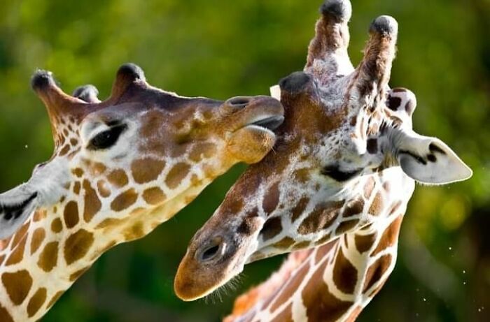 I Took 35 Stunning Wildlife Photos Just Two Kilometers From Home