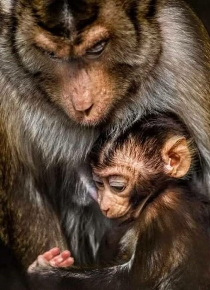 I Took 35 Stunning Wildlife Photos Just Two Kilometers From Home