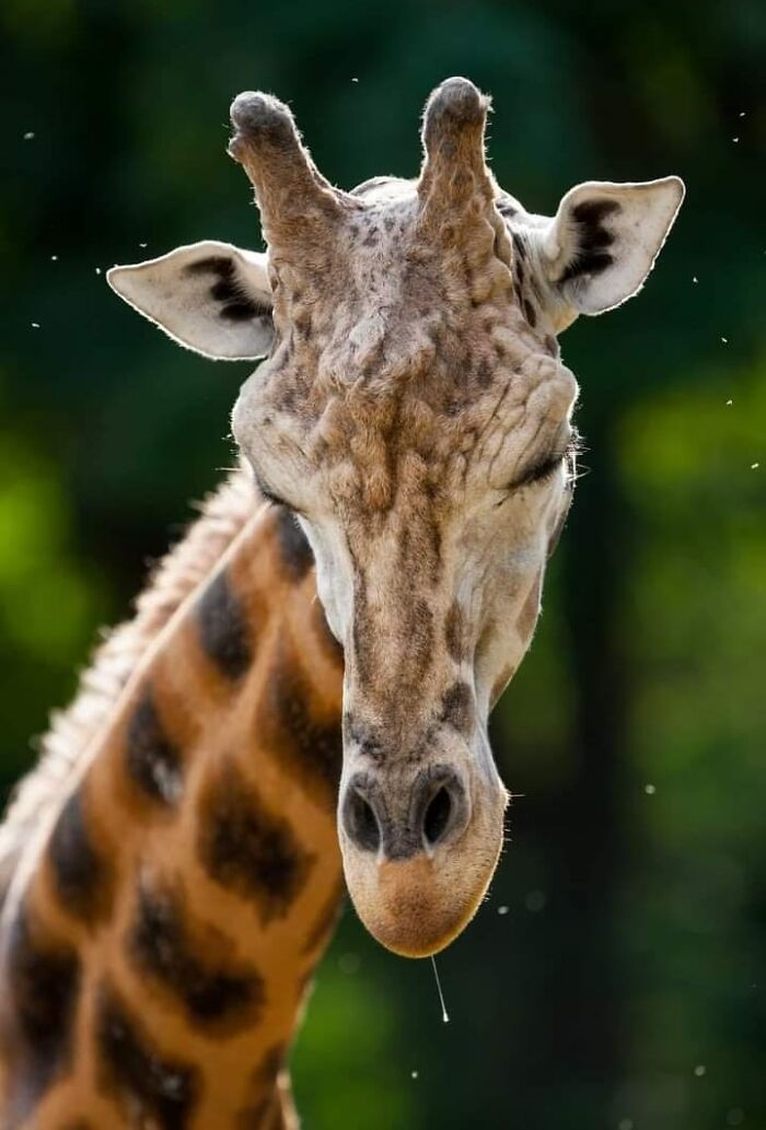 I Took 35 Stunning Wildlife Photos Just Two Kilometers From Home