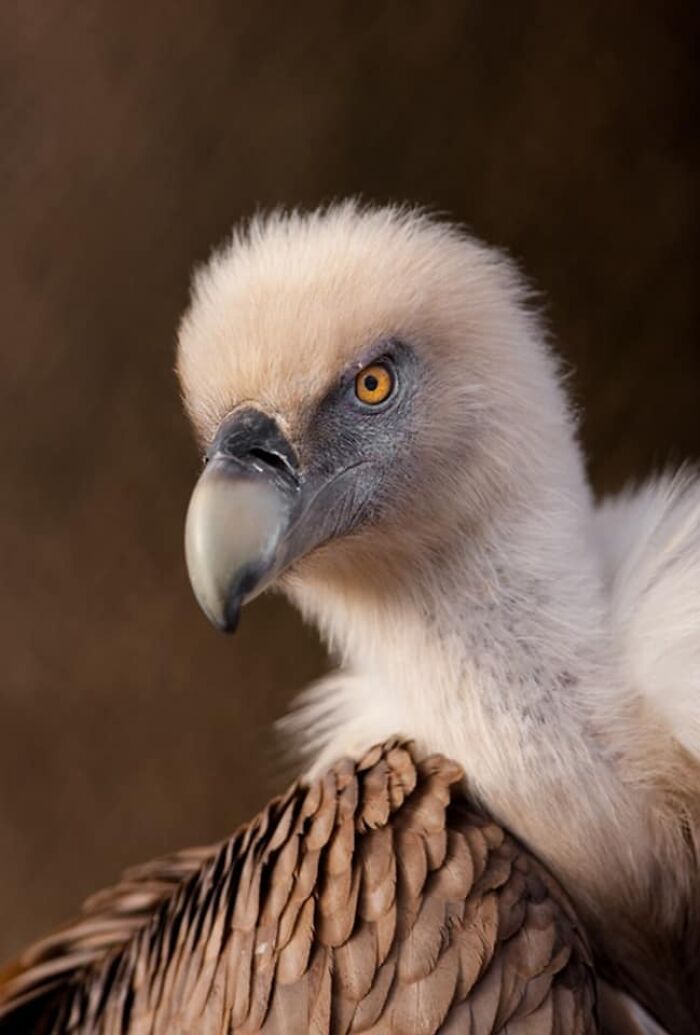 I Took 35 Stunning Wildlife Photos Just Two Kilometers From Home