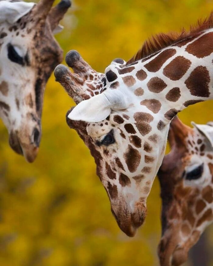 I Took 35 Stunning Wildlife Photos Just Two Kilometers From Home