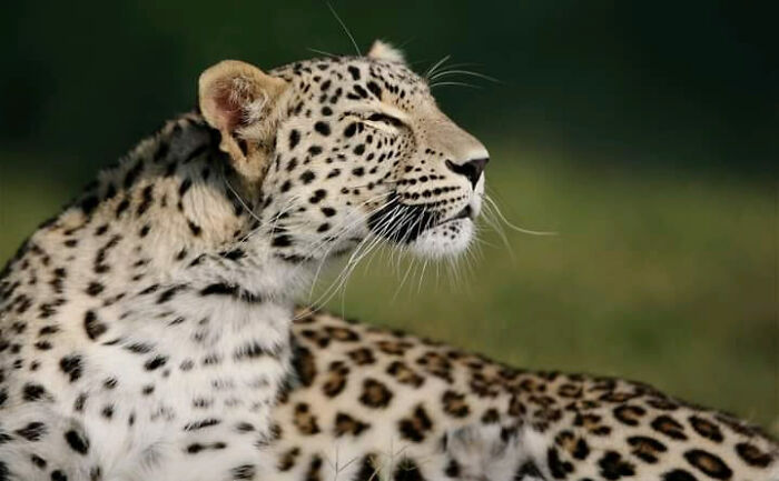 I Took 35 Stunning Wildlife Photos Just Two Kilometers From Home