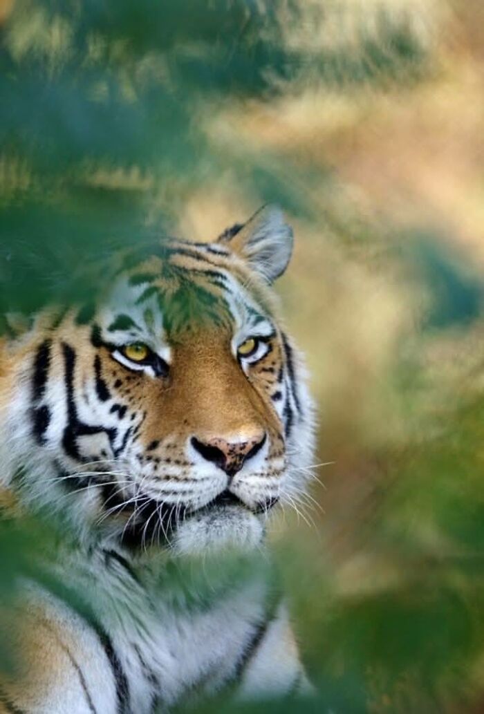 I Took 35 Stunning Wildlife Photos Just Two Kilometers From Home