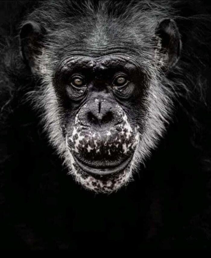 I Took 35 Stunning Wildlife Photos Just Two Kilometers From Home