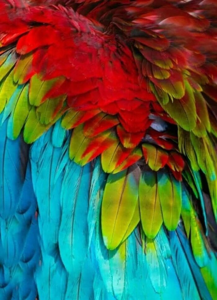 I Took 35 Stunning Wildlife Photos Just Two Kilometers From Home