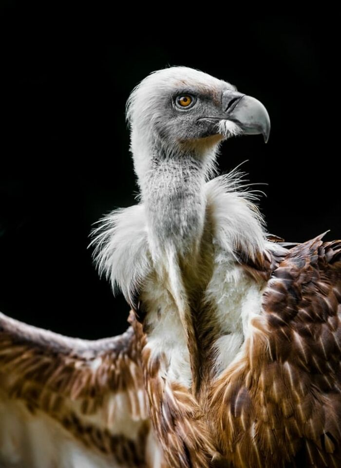 I Took 35 Stunning Wildlife Photos Just Two Kilometers From Home