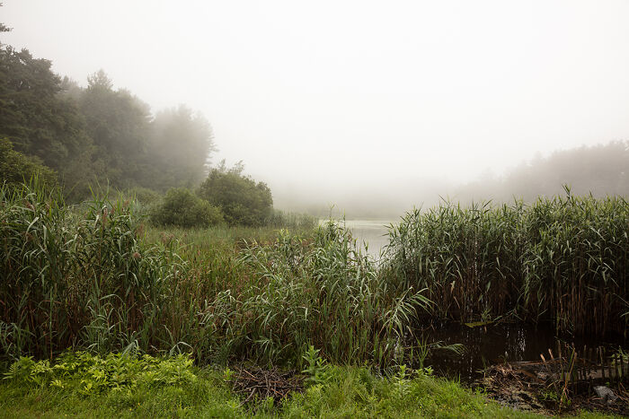 The Heart Of Hudson Valley’s Rural Communities In 19 Photos By Susan Anthony