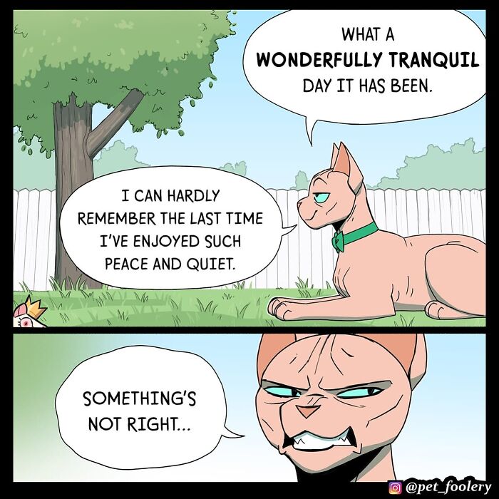 26 Must-See ‘Pet Foolery’ Comics