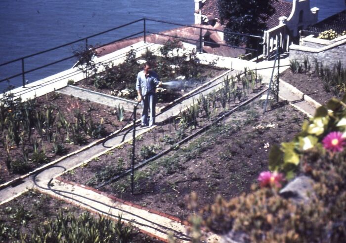 33 Rare Glimpses Into The Harsh Reality Of Life On Alcatraz