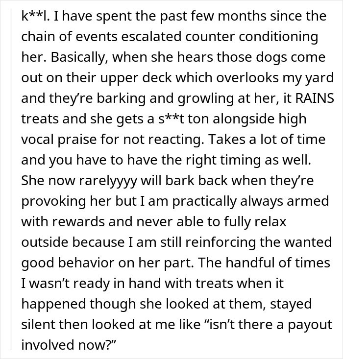 Neighbor Claims “They’re Just Doing Their Job” As Their Dogs Go Absolutely Wild, Woman Lets Cameras Handle It