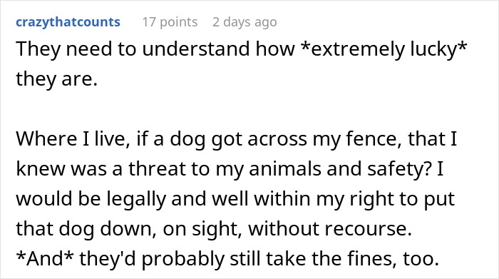 Neighbor Claims “They’re Just Doing Their Job” As Their Dogs Go Absolutely Wild, Woman Lets Cameras Handle It