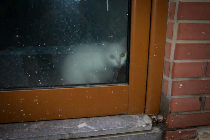 27 Serendipitous Moments Captured In Everyday Life By This Street Photographer (New Pics)