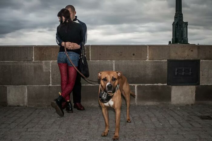 27 Serendipitous Moments Captured In Everyday Life By This Street Photographer (New Pics)