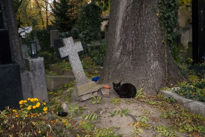 27 Serendipitous Moments Captured In Everyday Life By This Street Photographer (New Pics)