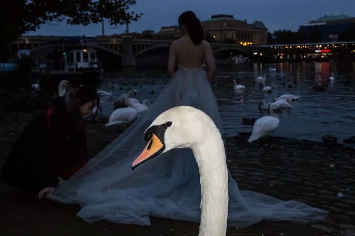 27 Serendipitous Moments Captured In Everyday Life By This Street Photographer (New Pics)