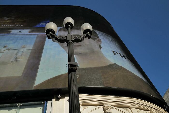 38 Perfectly Timed Street Photos That Might Make You Look Twice