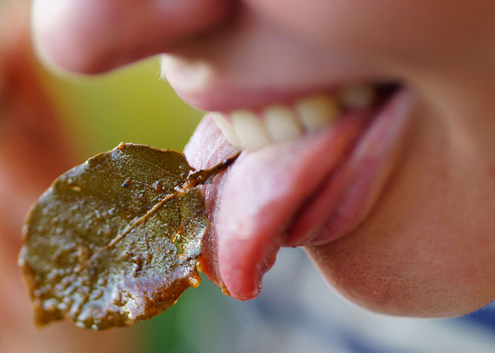 78 Of The Dumbest Customers That Food Industry Workers Can’t Forget About