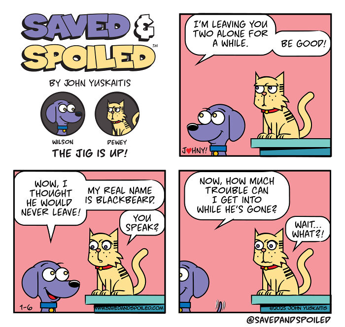 Saved &#038; Spoiled: 26 Comics About My Rescue Dog And Pedigree Cat