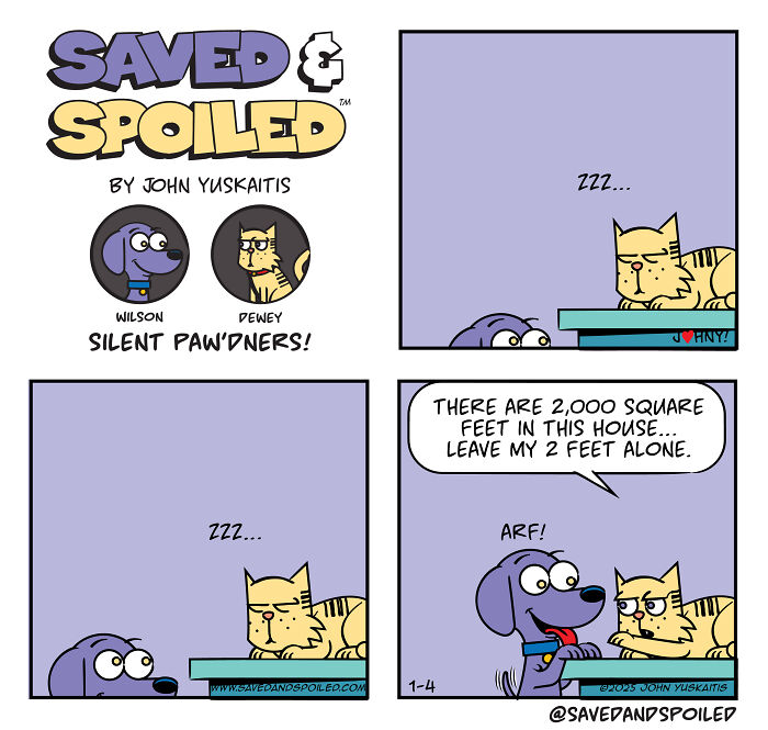Saved &#038; Spoiled: 26 Comics About My Rescue Dog And Pedigree Cat
