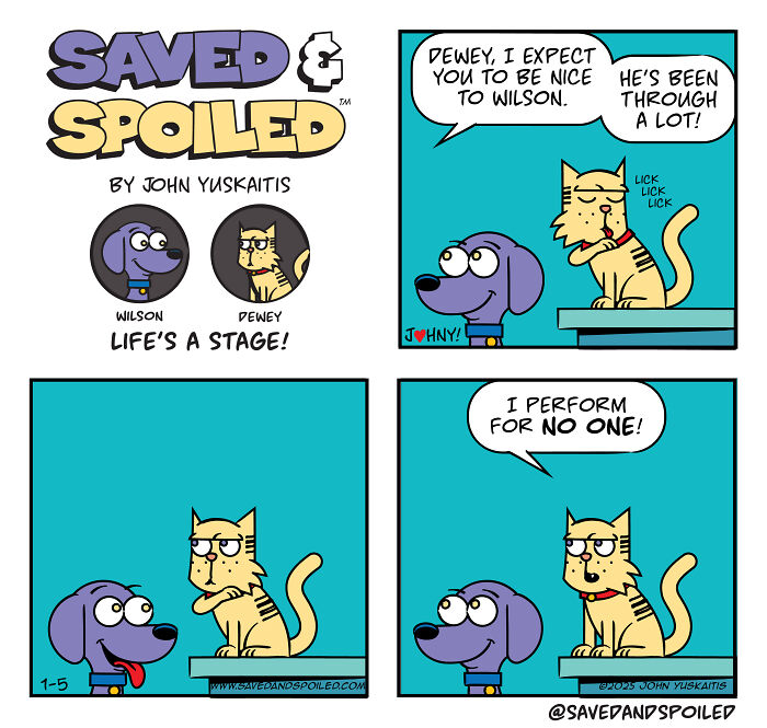 Saved &#038; Spoiled: 26 Comics About My Rescue Dog And Pedigree Cat