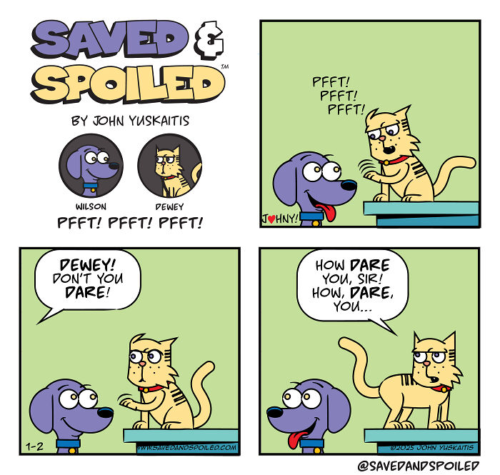 Saved &#038; Spoiled: 26 Comics About My Rescue Dog And Pedigree Cat