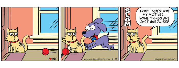 Saved &#038; Spoiled: 26 Comics About My Rescue Dog And Pedigree Cat