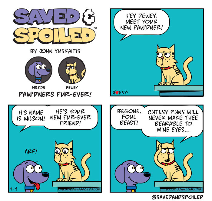Saved &#038; Spoiled: 26 Comics About My Rescue Dog And Pedigree Cat
