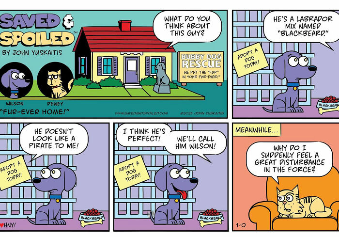 Saved &#038; Spoiled: 26 Comics About My Rescue Dog And Pedigree Cat