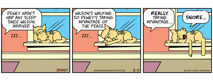 Saved &#038; Spoiled: 26 Comics About My Rescue Dog And Pedigree Cat