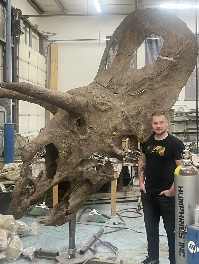 Nature Had To Be “Metal” When These 67 Now Extinct Creatures Were Around (New Pics)