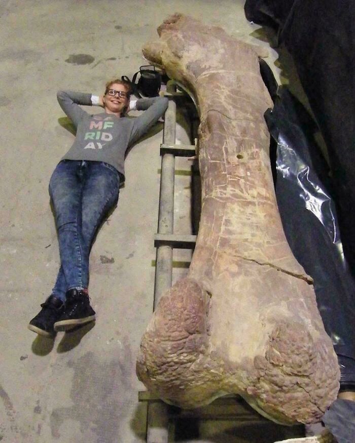 Nature Had To Be “Metal” When These 67 Now Extinct Creatures Were Around (New Pics)