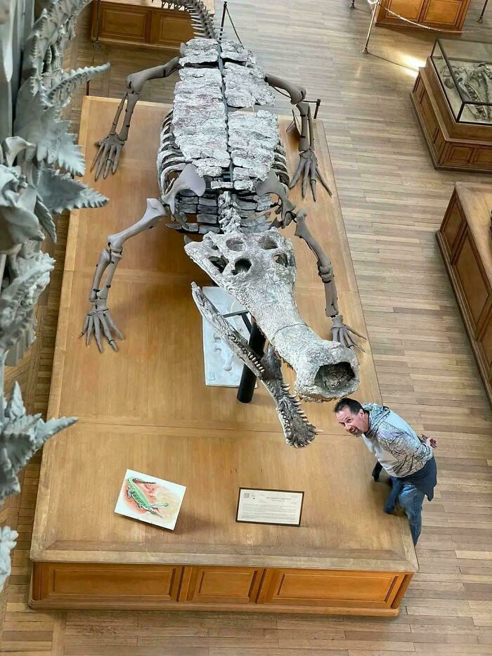Nature Had To Be “Metal” When These 67 Now Extinct Creatures Were Around (New Pics)