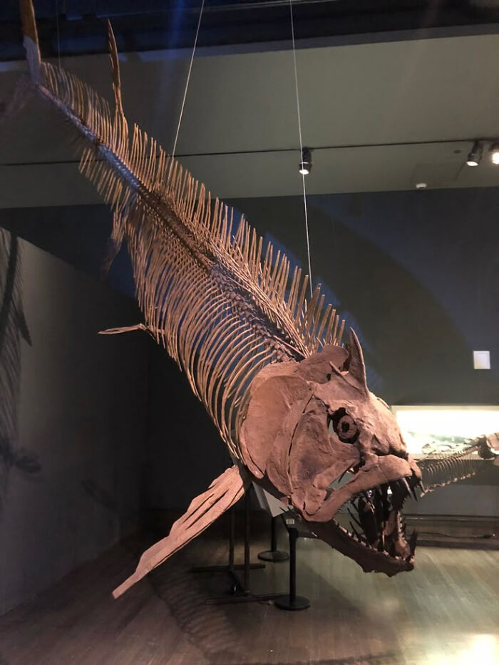 Nature Had To Be “Metal” When These 67 Now Extinct Creatures Were Around (New Pics)
