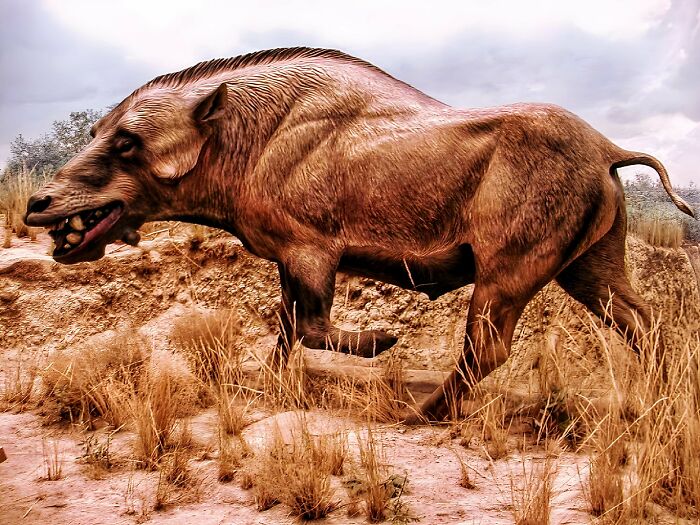 Nature Had To Be “Metal” When These 67 Now Extinct Creatures Were Around (New Pics)