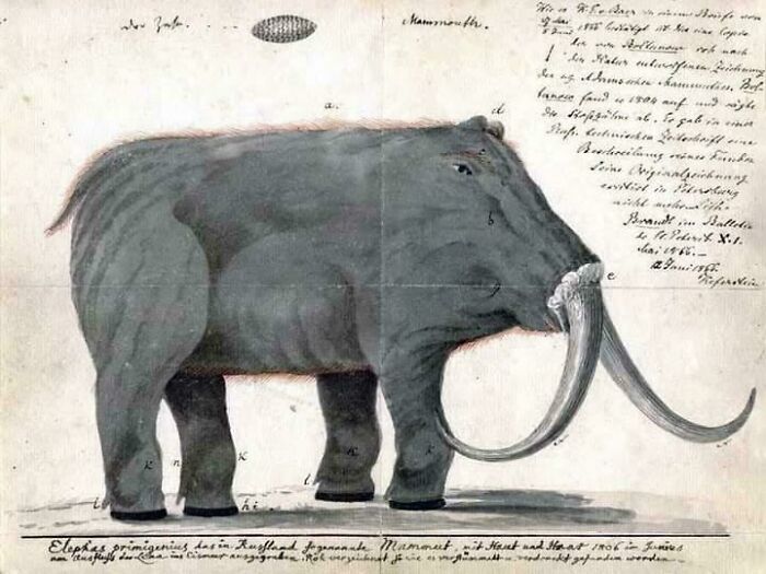 Nature Had To Be “Metal” When These 67 Now Extinct Creatures Were Around (New Pics)
