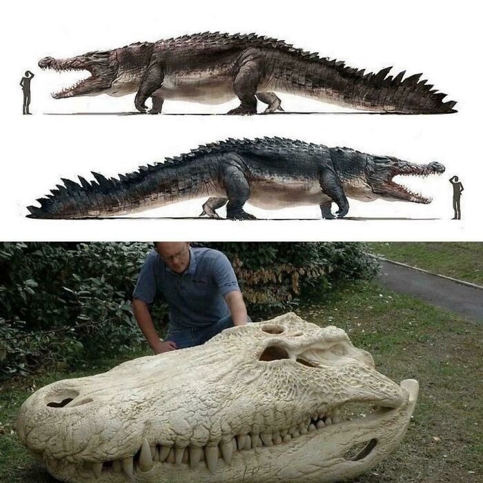 Nature Had To Be “Metal” When These 67 Now Extinct Creatures Were Around (New Pics)
