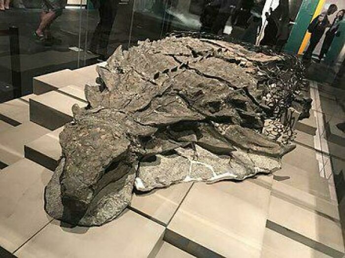 Nature Had To Be “Metal” When These 67 Now Extinct Creatures Were Around (New Pics)