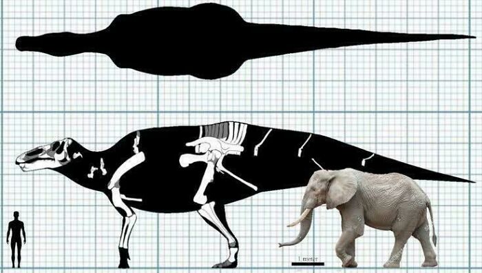 Nature Had To Be “Metal” When These 67 Now Extinct Creatures Were Around (New Pics)
