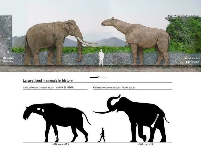 Nature Had To Be “Metal” When These 67 Now Extinct Creatures Were Around (New Pics)