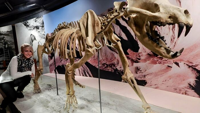 Nature Had To Be “Metal” When These 67 Now Extinct Creatures Were Around (New Pics)