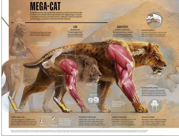 Nature Had To Be “Metal” When These 67 Now Extinct Creatures Were Around (New Pics)