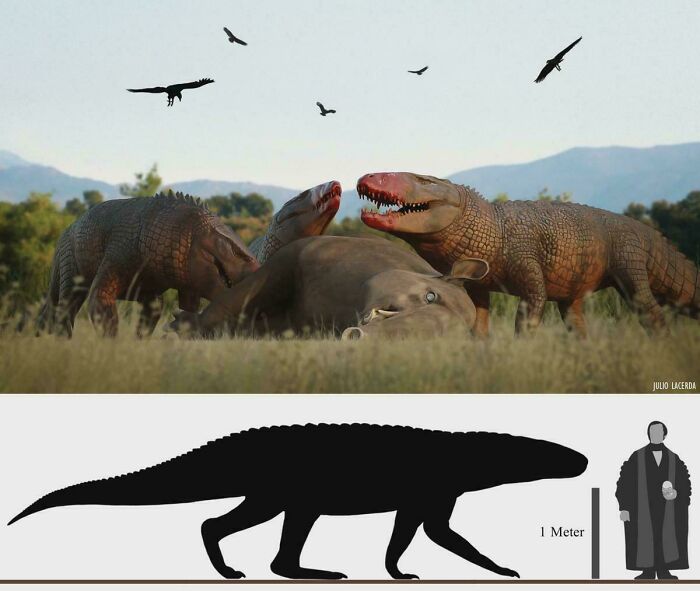 Nature Had To Be “Metal” When These 67 Now Extinct Creatures Were Around (New Pics)