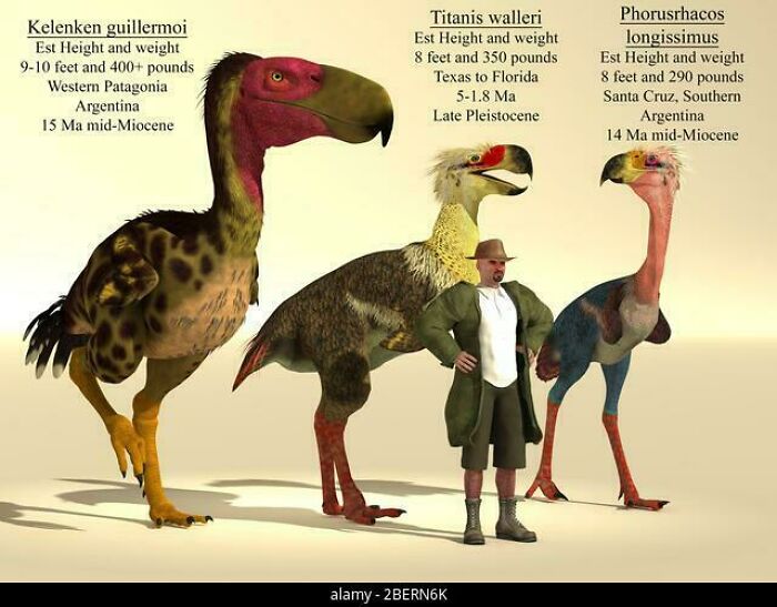 Nature Had To Be “Metal” When These 67 Now Extinct Creatures Were Around (New Pics)