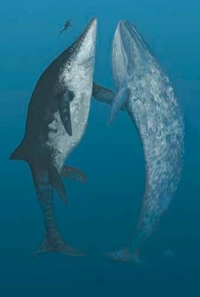 Nature Had To Be “Metal” When These 67 Now Extinct Creatures Were Around (New Pics)