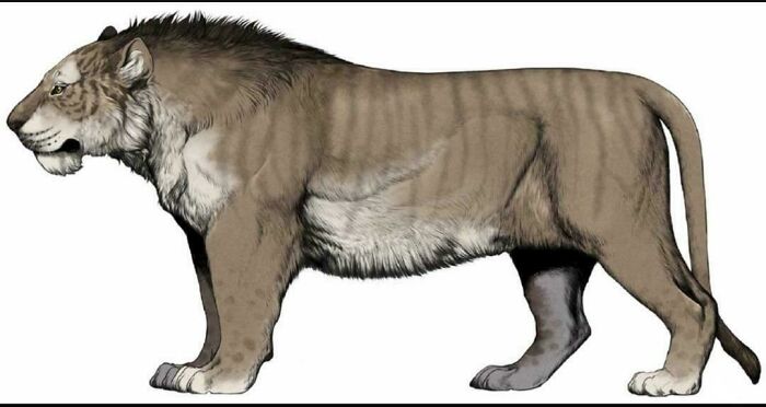 Nature Had To Be “Metal” When These 67 Now Extinct Creatures Were Around (New Pics)