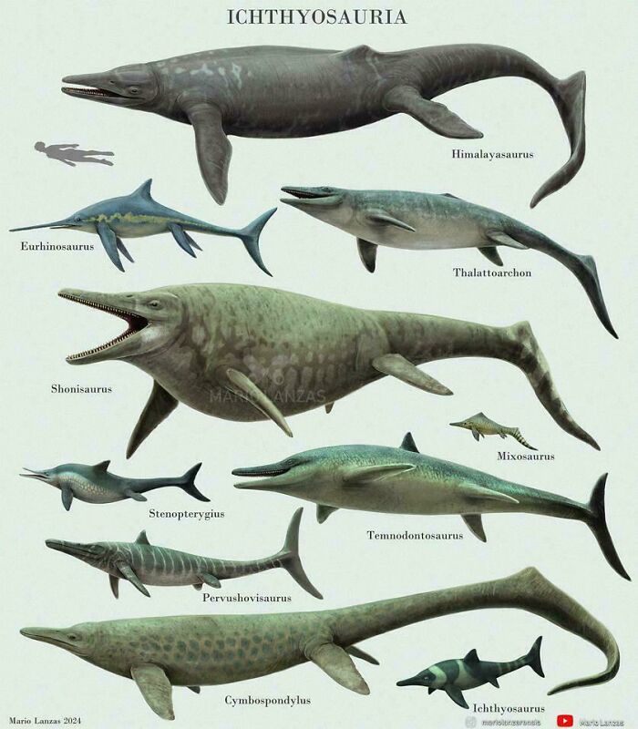 Nature Had To Be “Metal” When These 67 Now Extinct Creatures Were Around (New Pics)