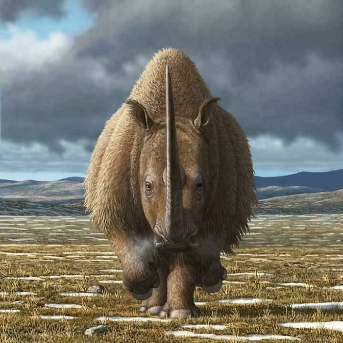 Nature Had To Be “Metal” When These 67 Now Extinct Creatures Were Around (New Pics)