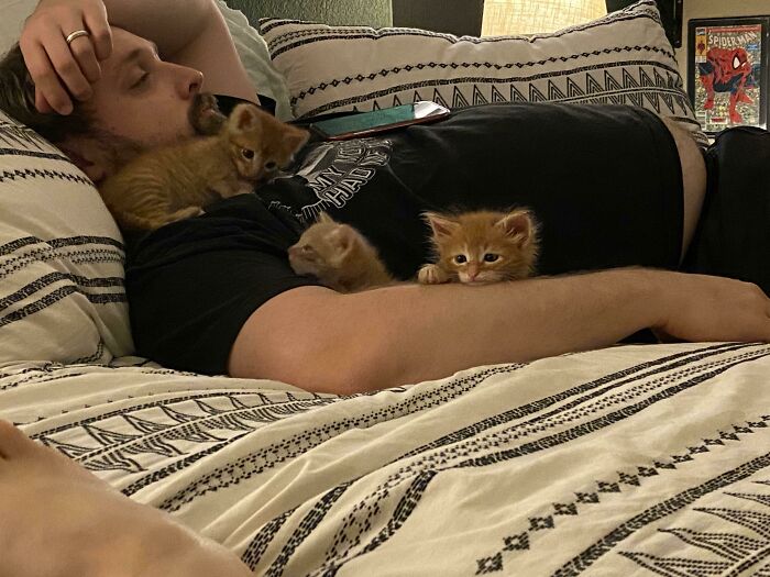 140 Dads Who Said “No Pets” And Ended Up Becoming Total Softies