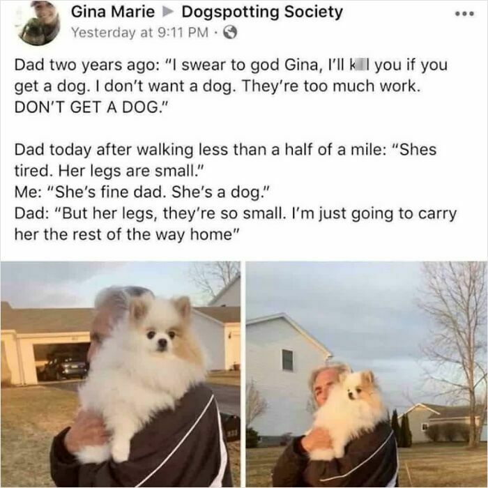 140 Dads Who Said “No Pets” And Ended Up Becoming Total Softies