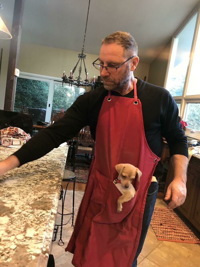 140 Dads Who Said “No Pets” And Ended Up Becoming Total Softies